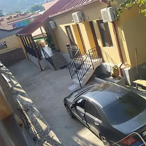 Two Lions *** Tbilisi
